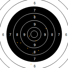 Target Image