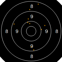 Target Image