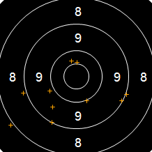 Target Image