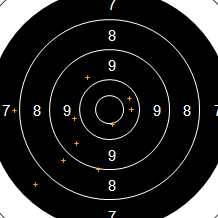 Target Image
