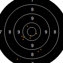 Target Image