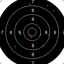 Target Image