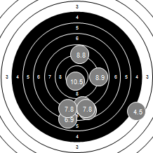 Target Image