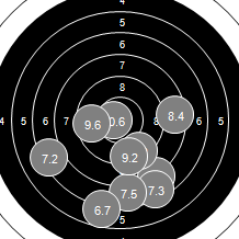 Target Image