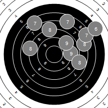 Target Image