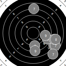 Target Image