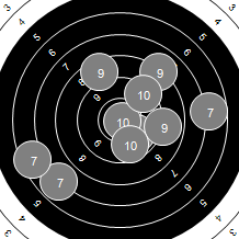 Target Image