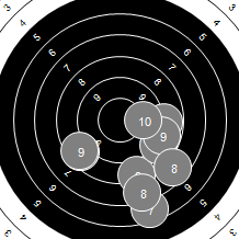Target Image