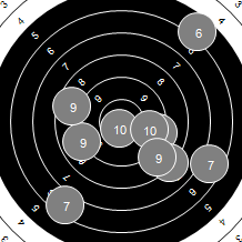 Target Image