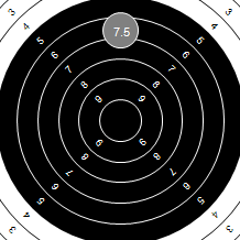 Target Image