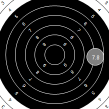 Target Image