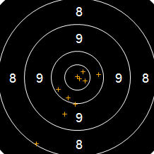Target Image