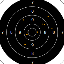 Target Image