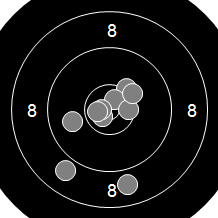 Target Image
