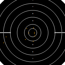 Target Image
