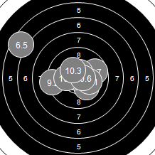 Target Image