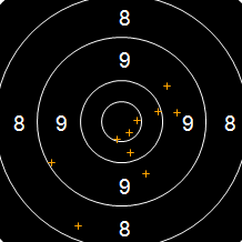 Target Image