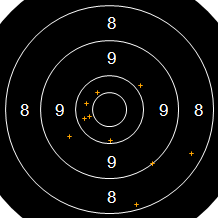 Target Image