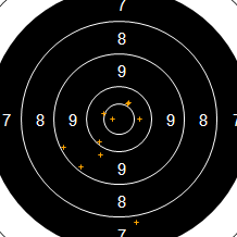 Target Image