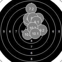 Target Image