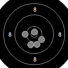 Target Image
