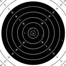 Target Image
