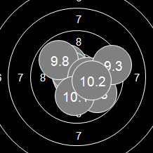 Target Image